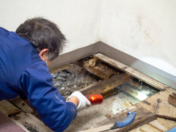 Best Crawl Space Mold Removal  in Salina, OK