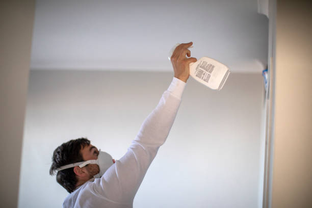 Best Crawl Space Mold Removal  in Salina, OK
