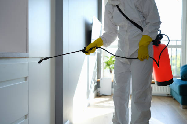 Best Emergency Mold Removal  in Salina, OK