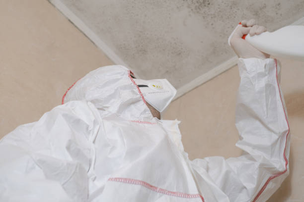 Best Black Mold Removal  in Salina, OK