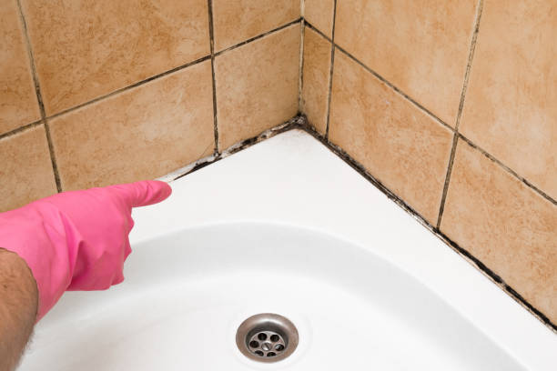Best Crawl Space Mold Removal  in Salina, OK